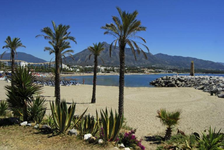 Nuevo Apartamento 1 Dormitorio Marbella Centro Marbelsun Apartment Marbella