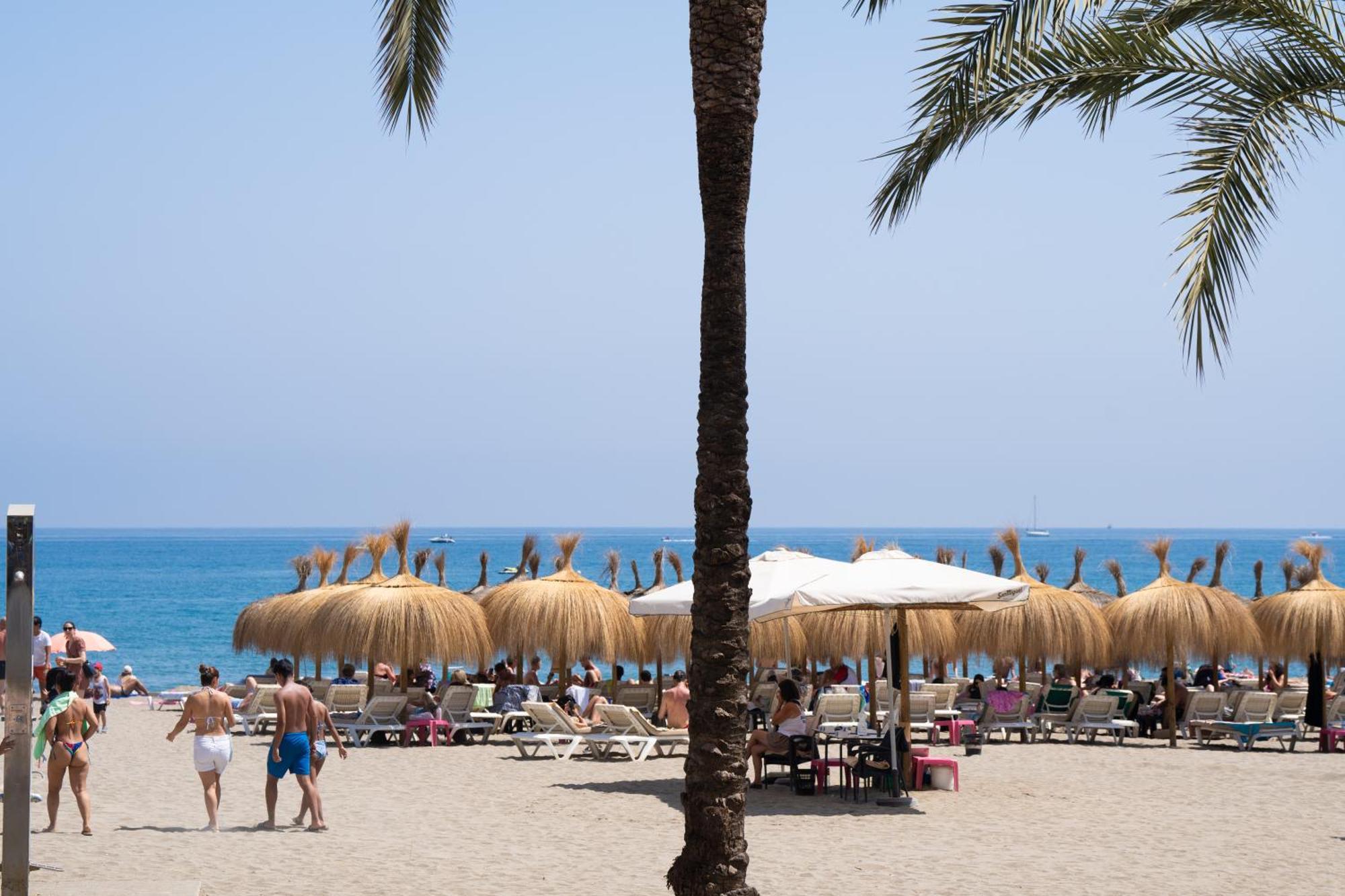 Nuevo Apartamento 1 Dormitorio Marbella Centro Marbelsun Apartment Marbella
